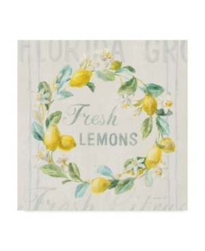 Trademark Global Danhui Nai Floursack Lemon V Canvas Art In Multi