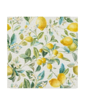 Trademark Global Danhui Nai Floursack Lemon Pattern Ia Canvas Art In Multi