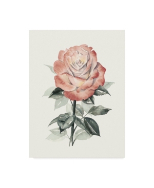 Trademark Global Grace Popp Beholden Rose I Canvas Art In Multi