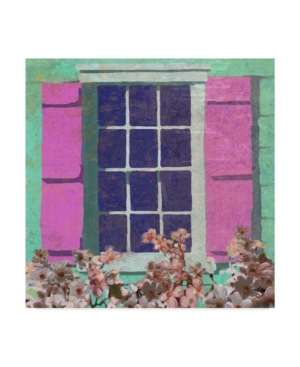 Trademark Global Rick Novak Window Floral Ii Canvas Art In Multi