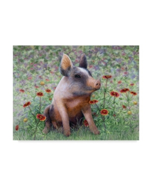 Trademark Global Marcia Matcham Flower Girl Piggy Canvas Art In Multi