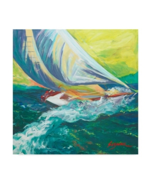 Trademark Global Suzanne Wilkins Regatta Colores Canvas Art In Multi