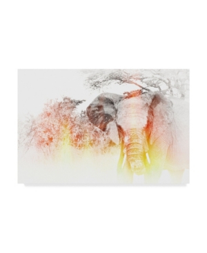 TRADEMARK GLOBAL GOLIE MIAMEE GOLDEN ELEPHANT CANVAS ART