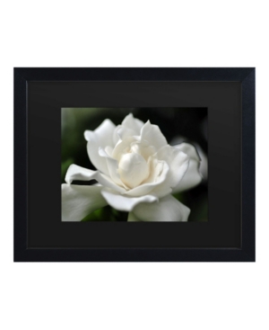 Trademark Global Kurt Shaffer Lovely Gardenia Matted Framed Art In Multi