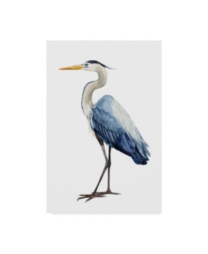 Trademark Global Grace Popp Seabird Heron I Canvas Art In Multi
