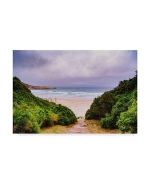 Trademark Global Pixie Pics Sand Under Clouds Iii Canvas Art In Multi