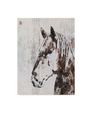 Trademark Global Irena Orlov Galaxy Horse Iii Canvas Art In Multi