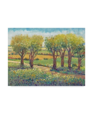 Tim Otoole Garden Path I Canvas Art - 20