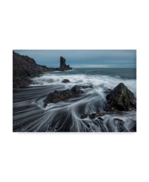 Danny Head Water Ribbons Canvas Art - 20