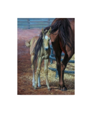 Trademark Global Jack Sorenson Horses Bad Hair Day Canvas Art In Multi