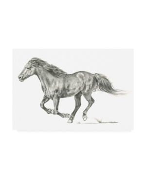 Trademark Global Jennifer Paxton Parker Wild Horse Portrait I Canvas Art In Multi