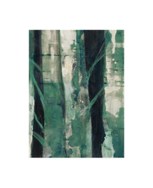 Trademark Global Albena Hristova Deep Woods Ii Emerald Crop Canvas Art In Multi
