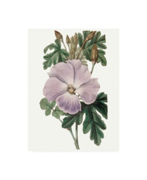Trademark Global Edwards Lavender Beauties I Canvas Art In Multi
