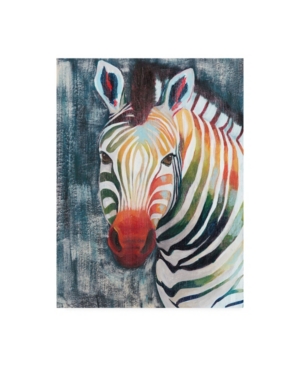 Trademark Global Grace Popp Prism Zebra Ii Canvas Art In Multi