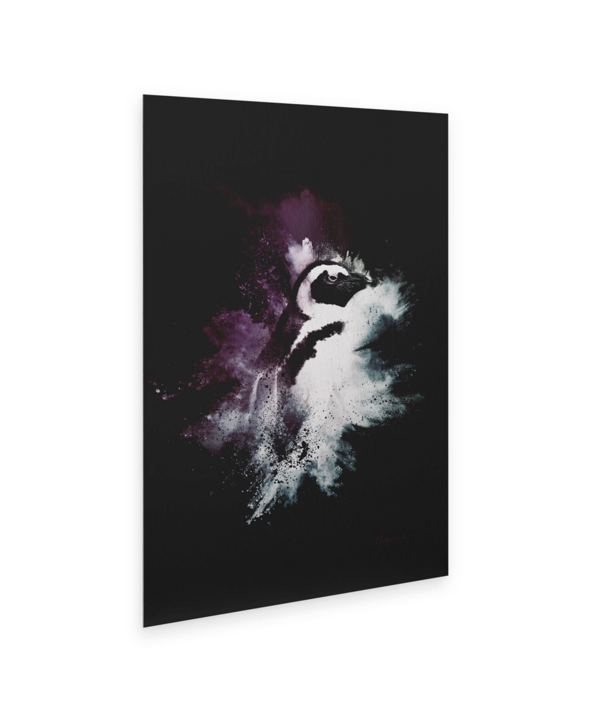 Philippe Hugonnard Wild Explosion Collection - the Penguin Floating Brushed Aluminum Art -