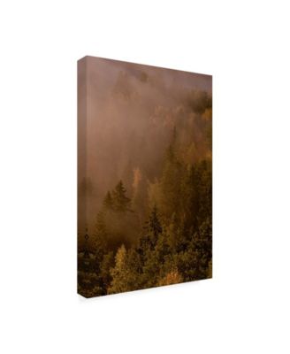PhotoINC Studio Autumn Forest Green Canvas Art - 27" x 33.5"