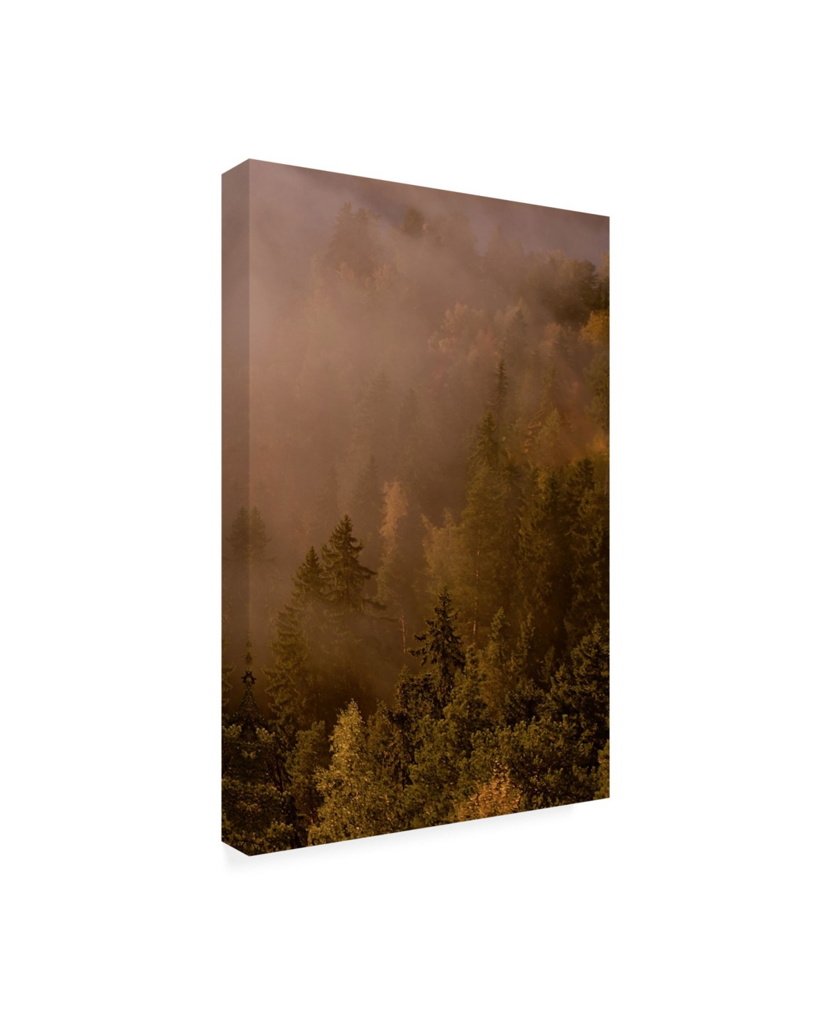 PhotoINC Studio Autumn Forest Green Canvas Art - 27" x 33.5"