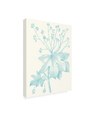Trademark Global Vision Studio Botanical Study in Spa I Canvas Art - 36.5" x 48"