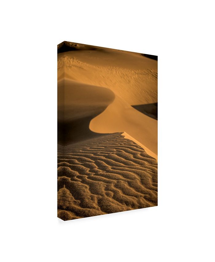 Trademark Global Dan Ballard Sand Dunes 3 Canvas Art - 19.5