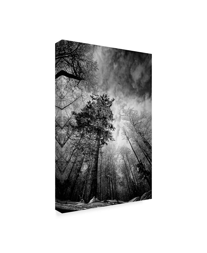 Trademark Global Philippe Sainte-Laudy Cold Vision Canvas Art - 37