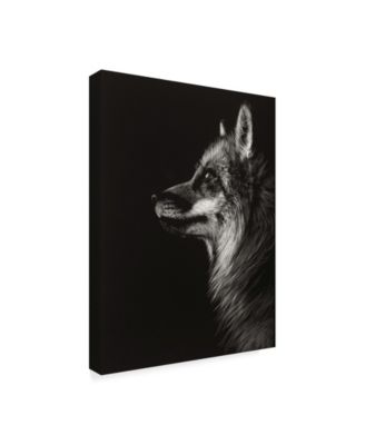 Trademark Global Julie T. Chapman Black Glimpse V Canvas Art - 20" x 25"