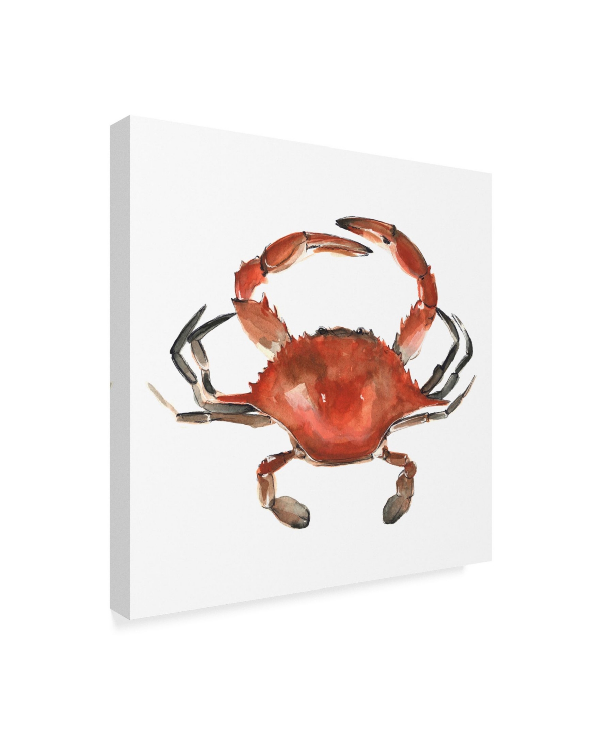 Emma Scarvey Watercolor Crab I Canvas Art -
