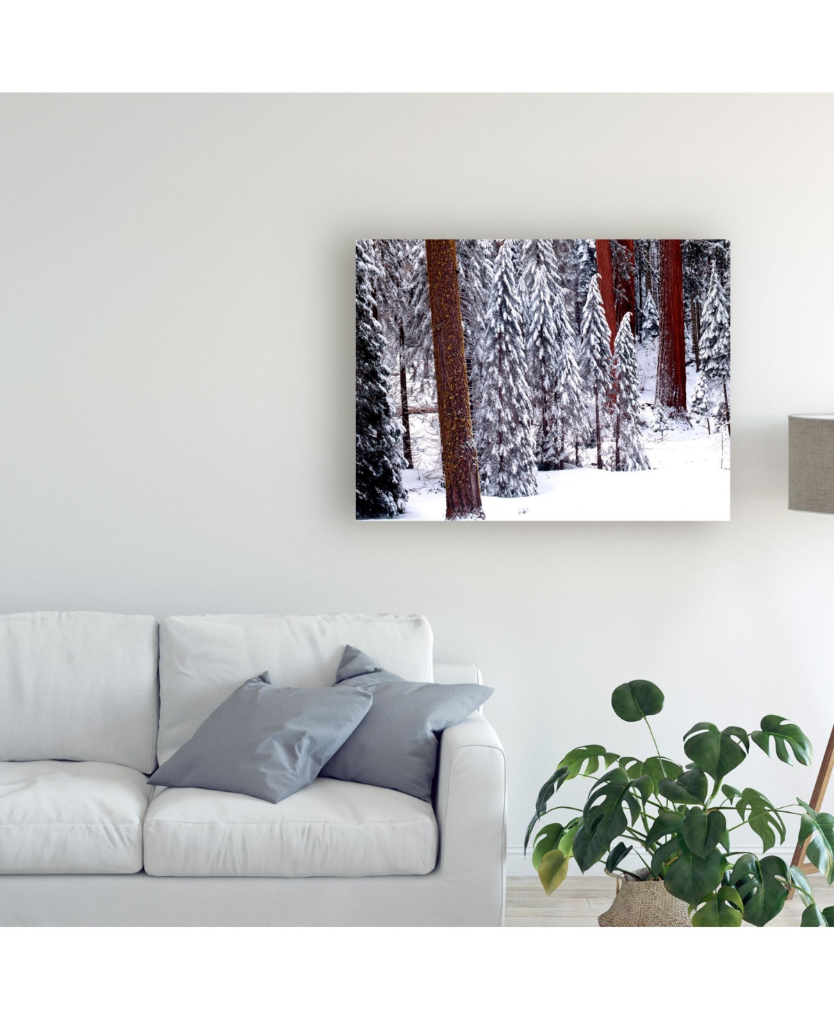 Monte Nagler Pines in Winter California Canvas Art -