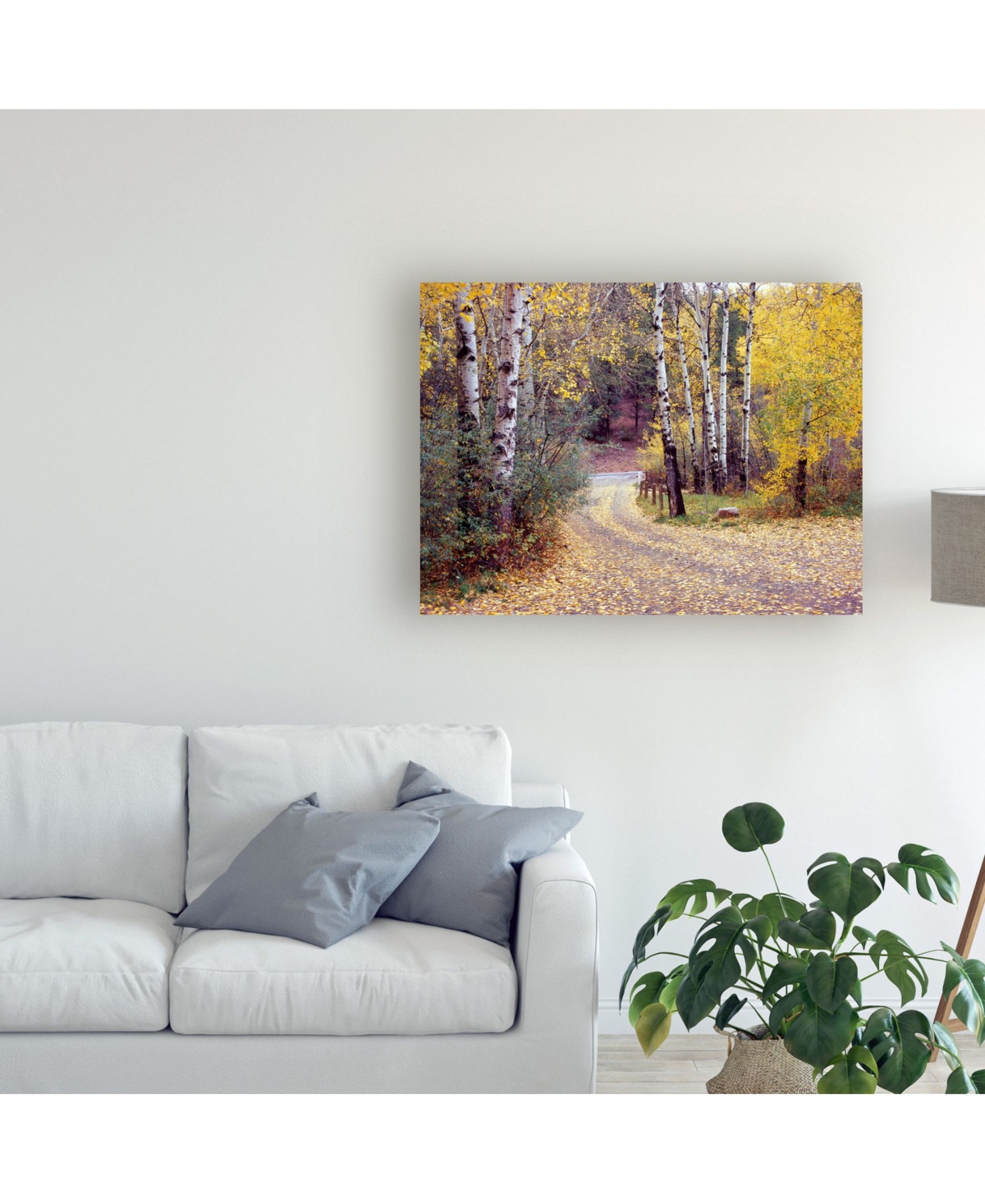 Monte Nagler Birch Tree Drive Fence and Road Santa Fe New Mexico Canvas Art -