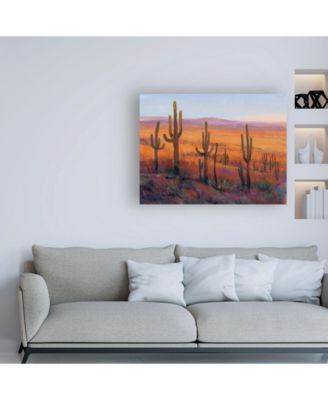Tim OToole Desert Light I Canvas Art - 36.5" x 48"
