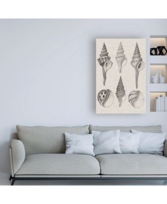 Trademark Global Vision Studio Charcoal & Linen Shells II Canvas Art - 36.5" x 48"