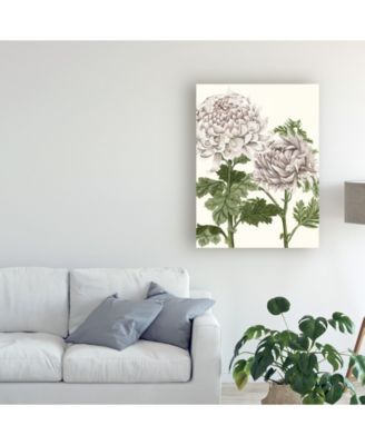 Trademark Global Naomi Mccavitt Early Spring Chrysanthemums III Canvas Art - 20" x 25"
