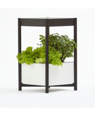 Miracle-Gro - Twelve Indoor Growing System