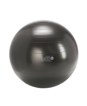 Gymnic Exercise Ball Plus 65