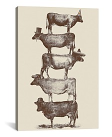  Cow Cow Nuts by Florent Bodart Wrapped Canvas Print Collection