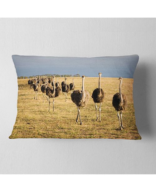 Design Art Designart Ostriches Walking In South Africa African