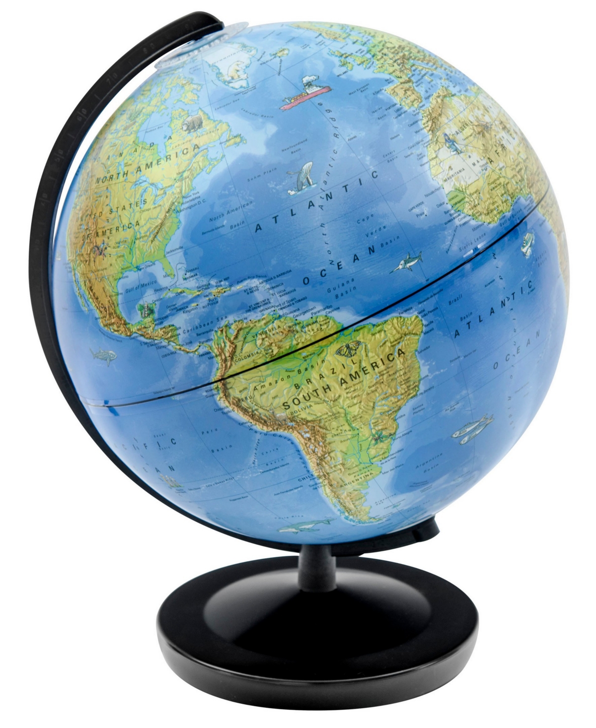 Shop Thames & Kosmos Day And Night Globe In Multi