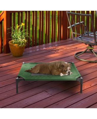 cot style pet bed