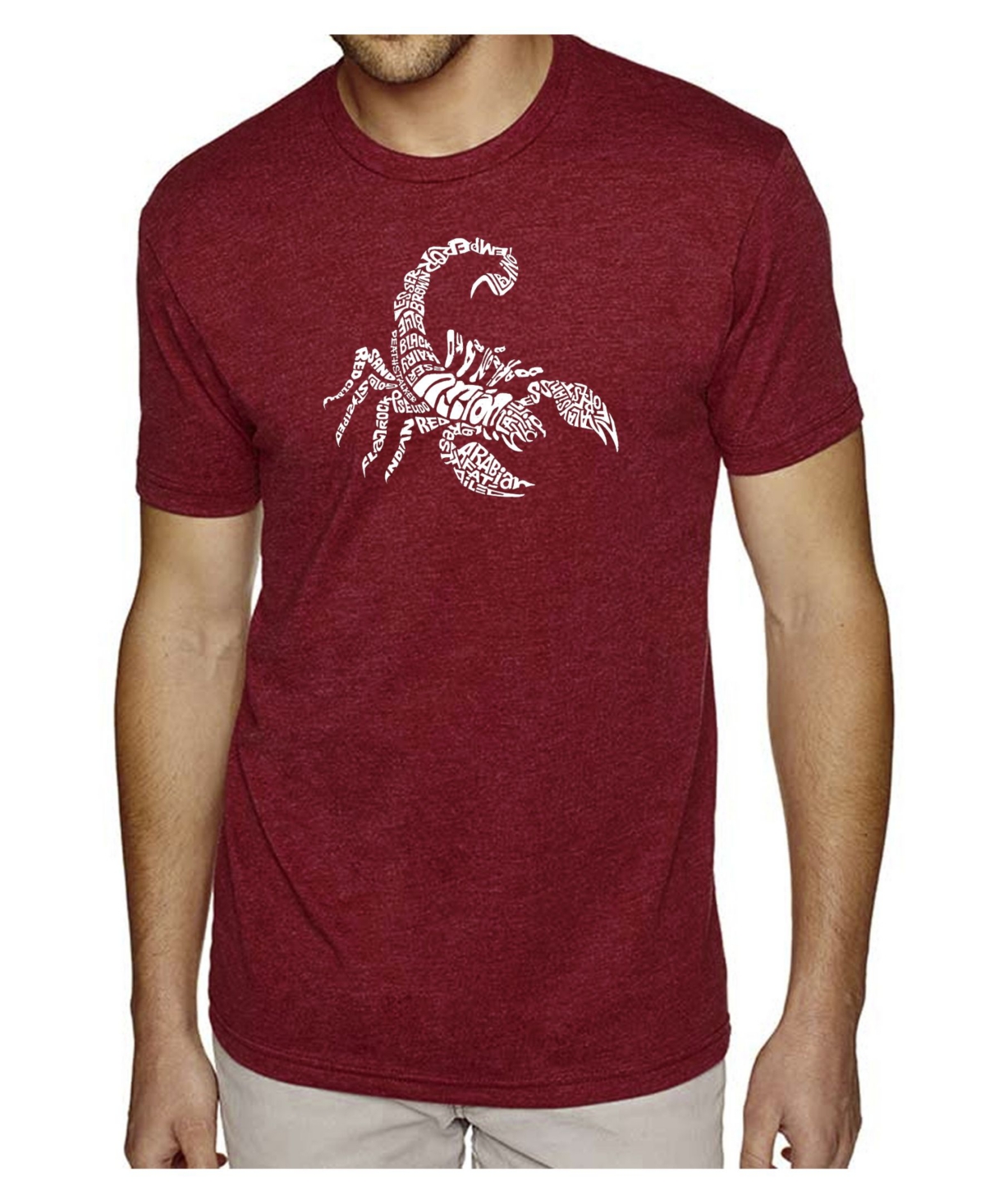 La Pop Art Men's Premium Word Art T-Shirt - Types of Scorpions