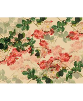 ohpopsi Vintage Botanic Wall Mural - Macy's
