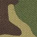Green Camo