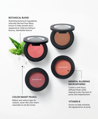 bareMinerals Bounce & Blur Blush