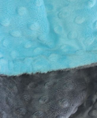 Minky Baby Girl Blanket