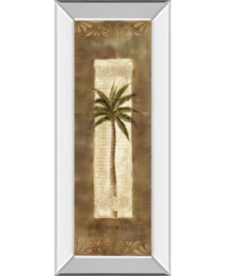 Scroll Palm Il by Carol Robinson Mirror Framed Print Wall Art - 18" x 42"