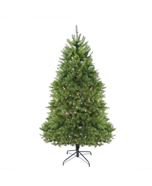 Northlight 14' Pre-Lit Northern Pine Full Artificial Christmas Tree - Warm White Led Lights