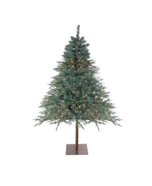 Northlight 75' Pre-Lit Fairbanks Alpine Artificial Christmas Tree - Clear Lights