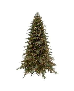 Northlight 75' Pre-Lit Mont Blanc Fir Artificial Christmas Tree - Dual Color Led Lights