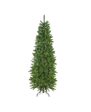 Northlight 6.5' Pre-lit White River Fir Artificial Pencil Christmas Tree In Green