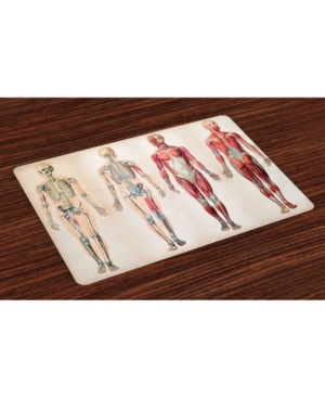 Ambesonne Human Anatomy Place Mats Set of 4