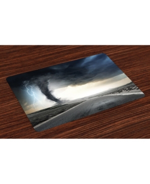 Ambesonne Nature Place Mats Set of 4
