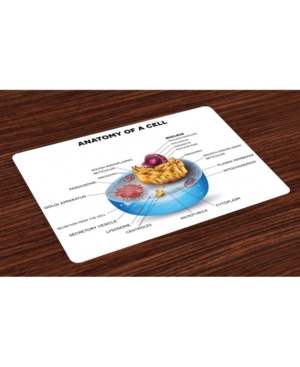 Ambesonne Educational Place Mats Set of 4